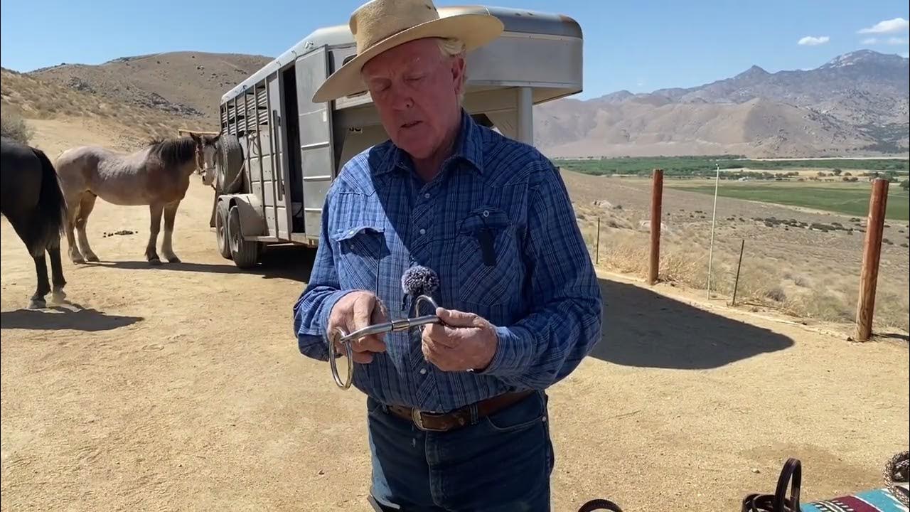 How the Missing Link Snaffle Works How the Missing Link Snaffle Works