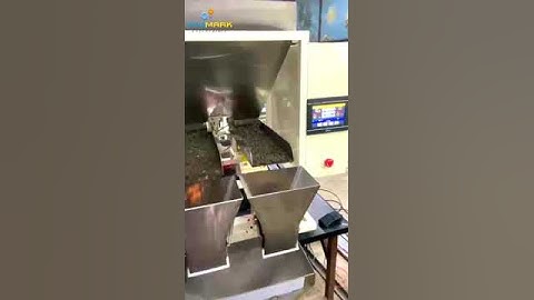 TWIN HEAD WEIGHING AND FILLING MACHINE