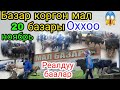 Зор кабар:20 ноябрь Базар коргон мал базары👍Базар арзанбы🤔Реалдуу баалар