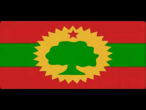 Ibrahim Baadiyyaa Best Oromo Music Full Albem