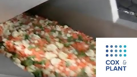 Multihead Weigher fed by Vibratory Conveyor - Cox & Plant