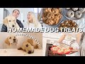 CREATING OUR OWN PUPPY TREATS! 3 Easy Recipes + TASTE TEST!