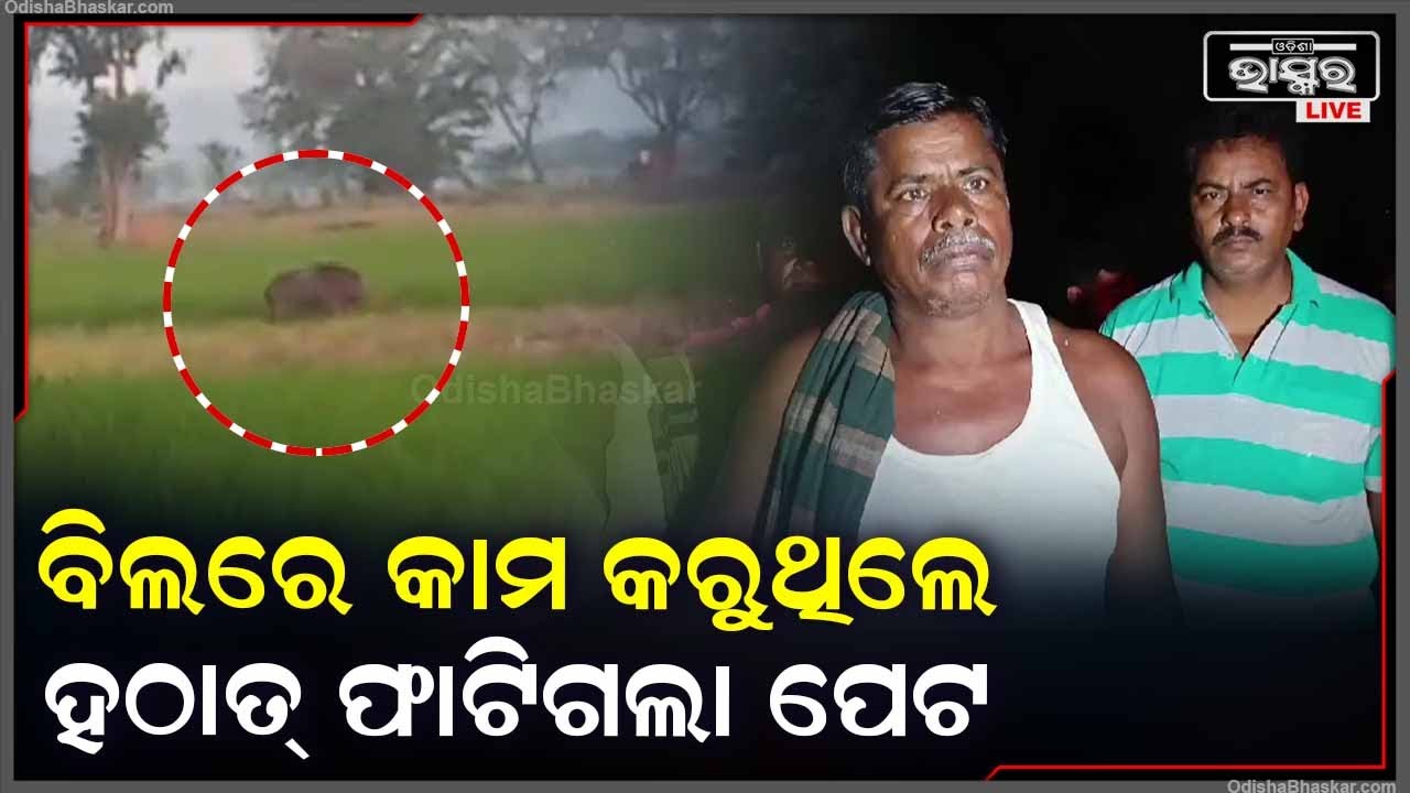 ଅନ୍ଧାରରେ ବିଲରେ କାମ କରୁଥିଲେ ଚାଷୀ, ଏହି ସମୟରେ ହଠାତ ପଛପଟୁ କେହି ଆସି...