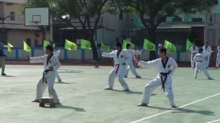 98年11月14日埔鹽國小校慶 跆拳道表演一