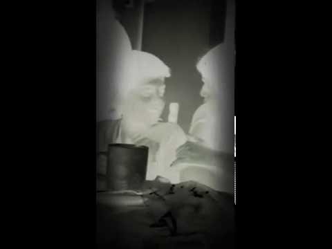 Tomando té