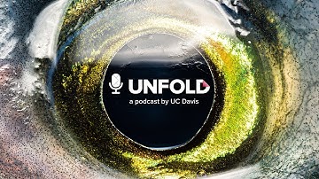 Unfold S.3. Trailer