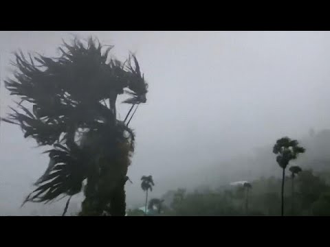 Videó: A Dorian Hurrikán Frissítése Floridában