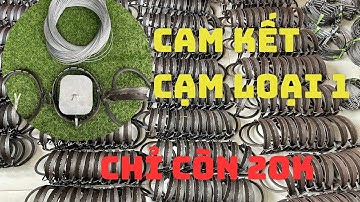 Báo giá đủ bộ bẫy chồn 14cm và 16cm ( cạm kiềng loại 1 có kèm dây phanh và bàn đạp