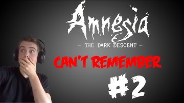 BUGS EVERYWHERE ! Amnesia Custom Story - Can