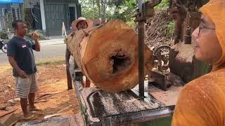 Greates Cutting a Big Oak Log using a Saw Machine tradisional  in the countryside