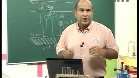 iTTV PMR/PT3 Form 3 Science #1 The World Through Our Senses (The Sense of Touch)