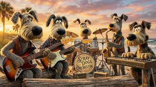 Stray Dogs Orchestra streaming Stray