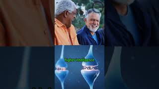 Cracking the Code  - The Intelligence Behind Dark Humor Wealth