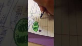 Photosynthesis Cornell Notes