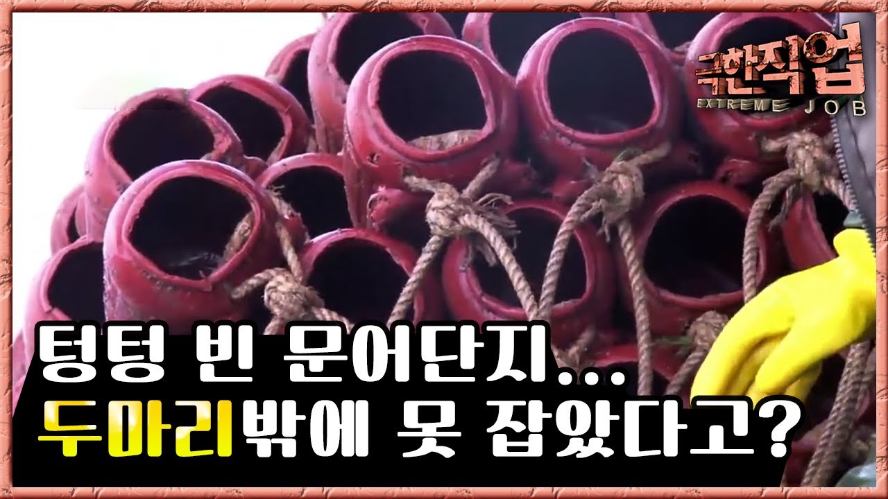 극한직업 - Extreme JOB_전통 문어 잡이_#002 - YouTube