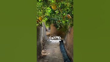 الله الذي يرسل الرياح – سورة الروم – مشاري البغلي