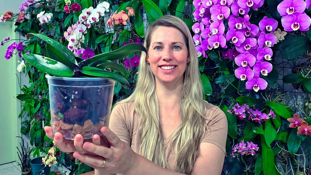 Como PLANTAR orquídea em CASCA DE PINUS