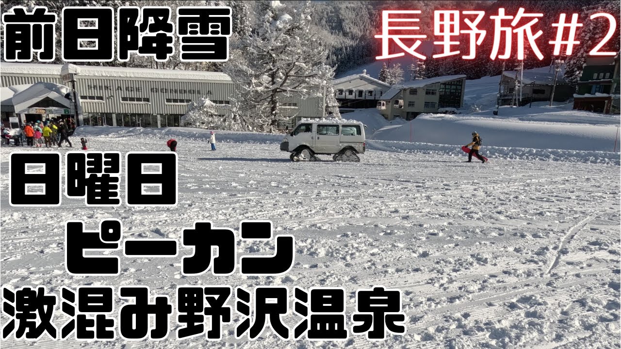 [長野旅#2] 道の駅千曲川で車中泊して野沢温泉でツリーラン 新型ステップワゴンで車中泊旅
