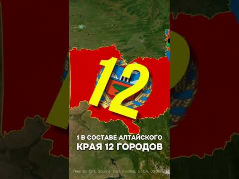 Кузбасс (Кемеровская область) vs Алтайский Край #кузбасс #алтайскийкрай #кемерово #барнаул