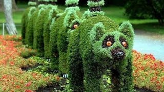 Beautiful garden art . screenshot 5