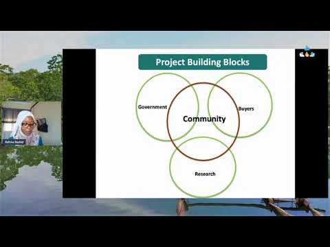 Toko Telo: What does best practice in community-led mangrove management look like?