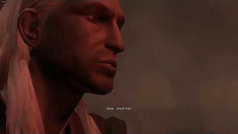 The Witcher: Enhanced Edition #23 End of Chapter 4 - Scoia