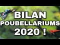 Bilan poubellariums 2020 guppys crevettes