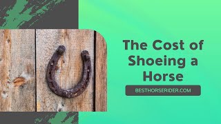 The Cost of Shoeing a Horse