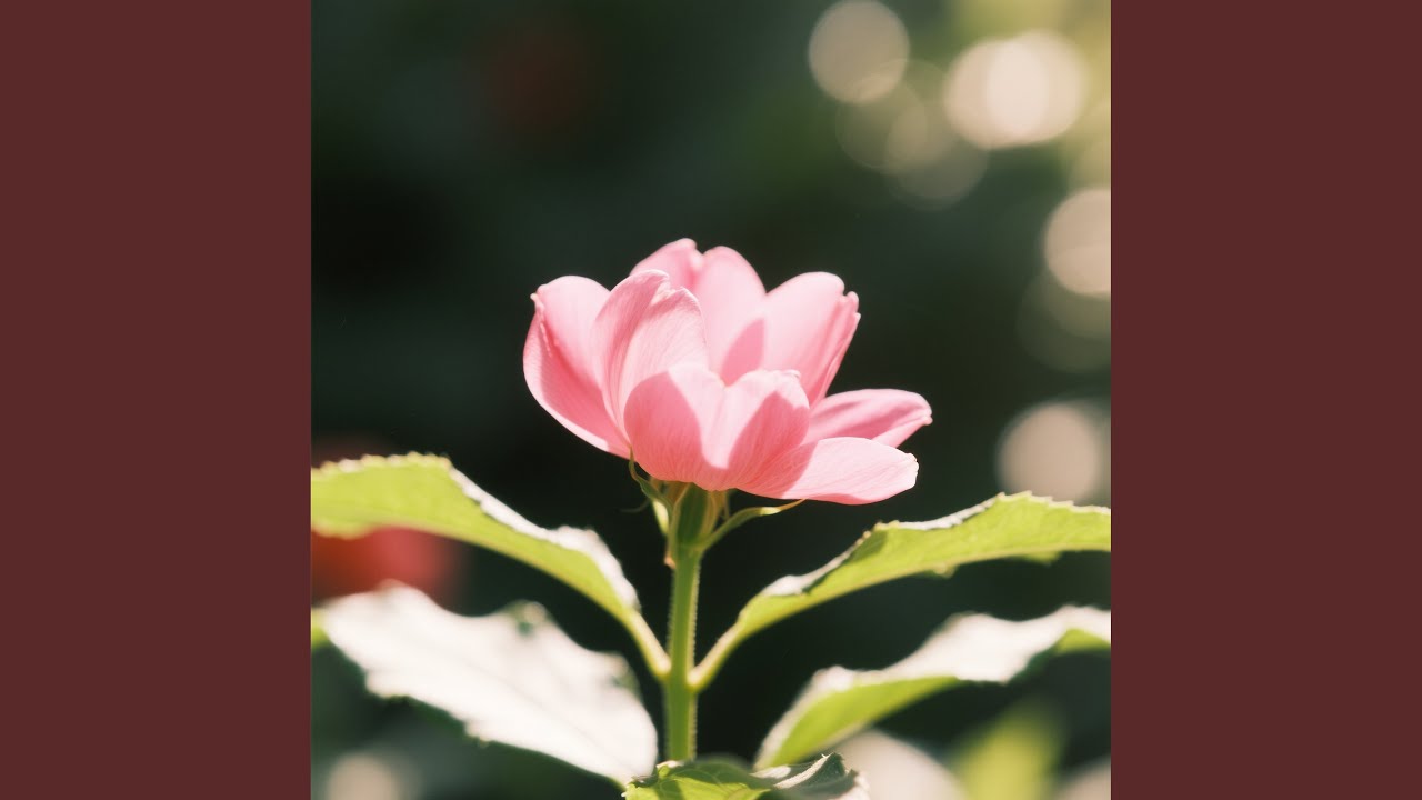 Rise Beyond the Fearline