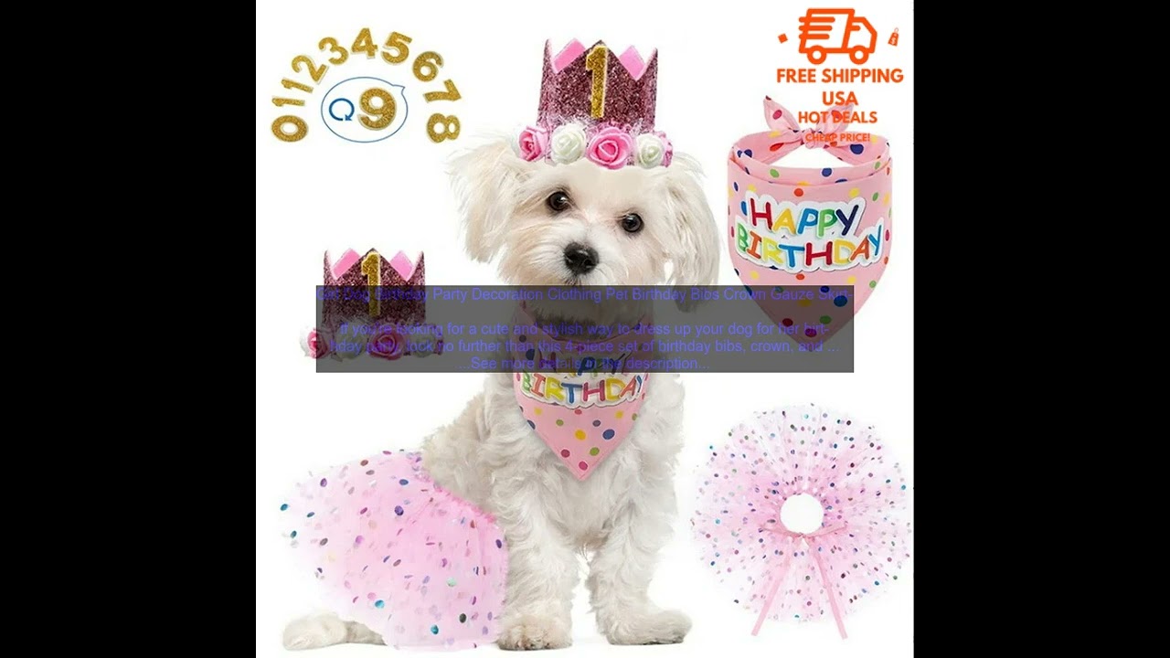 1005006174815936 Girl Dog Birthday Party Decoration Clothing Pet Birthday Bibs Crown Ga