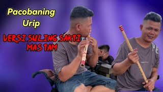 PACOBANING URIP VERSI SULING SAKTI MAS TAM #pacobaningurip #sulingbambu