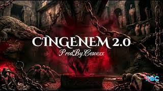 Çi̇ngenem 2.0 - Uzi & Ebru Gündeş (Remix) [Prodbycesooxx]