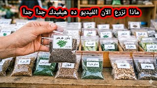 الموسم الذهبي للزراعة بدأ! اغتنم الفرصة وازرع هذه البذور  الان شوف الفيديو وجرب 🌱🔥