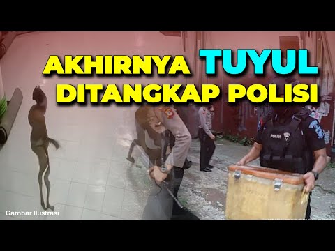 Dua TUYUL PENCURI Kotak Amal Masjid Berhasil Ditangkap Polisi