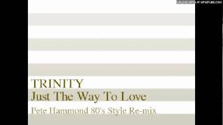 Just The Way To Love (Pete Hammond 80's Style Re-mix)