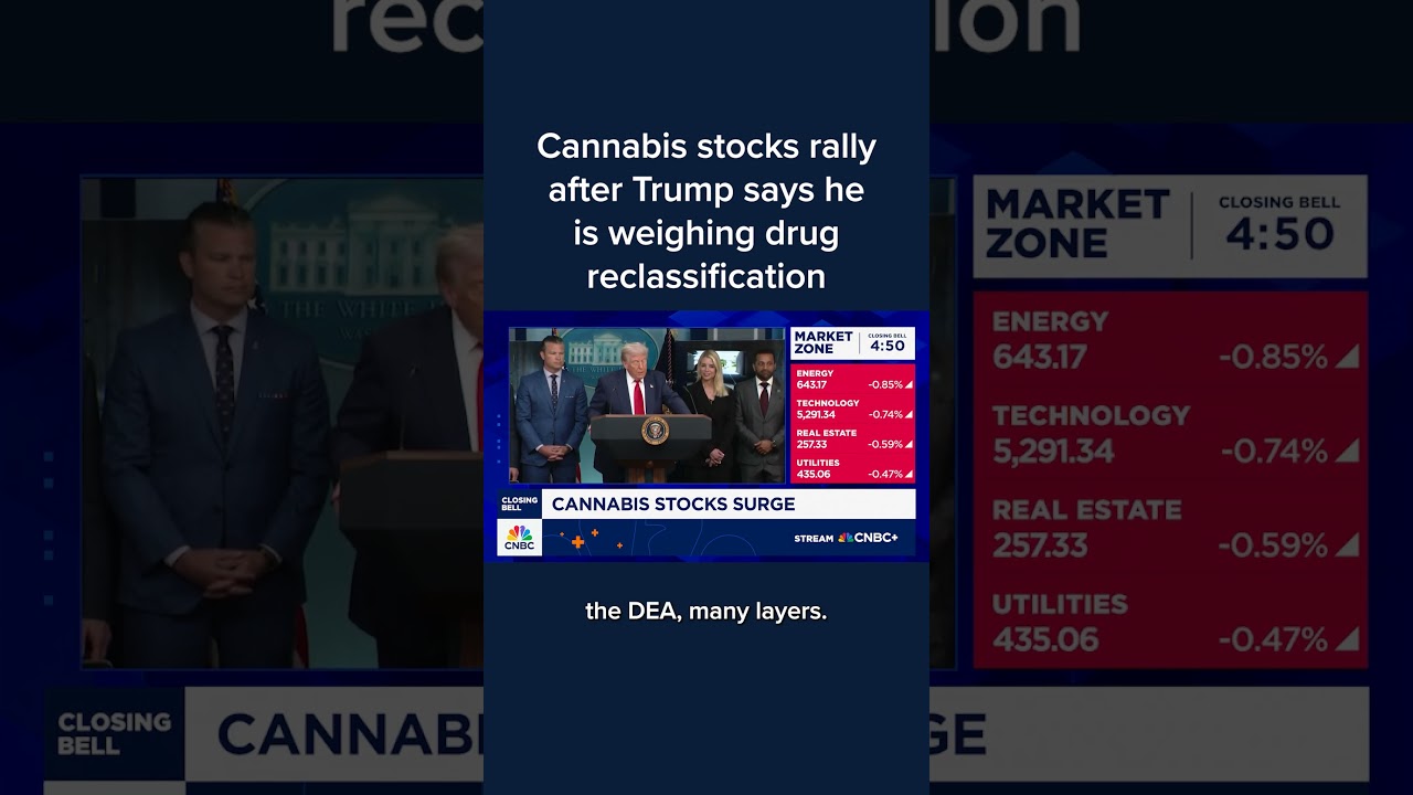 Cannabis stocks rally after Trump says he is weighing drug reclassification