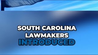 SC introduces 6 abortion bills, including one that would ban the procedure after conception