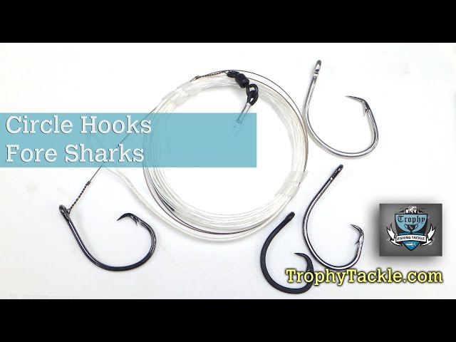 Circle Hooks for Shark Fishing 