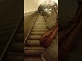 Moscow Metro tour #shorts
