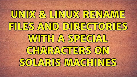 Unix & Linux: Rename files and directories with a special characters on solaris machines