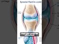 Knee Pain After 30? The Real Reason Might Surprise You!