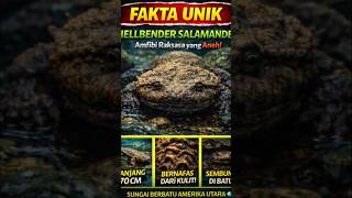 FAKTA UNIK. HELLBENDER SALAMANDER #faktahewan #faktaunik #animals #shortvideo #shorts #amphibia