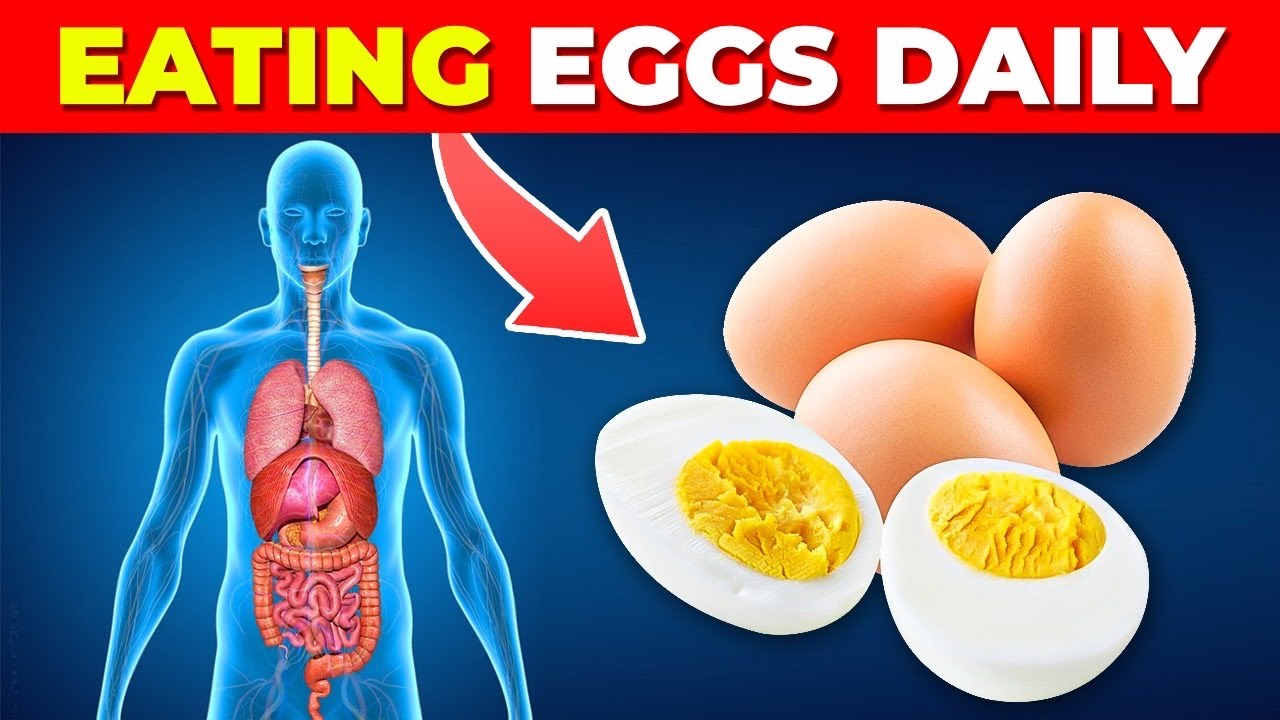 What Happens To Your Body When You Eat Eggs Everyday YouTube what-happens-to-your-body-when-you-eat-eggs-everyday-youtube