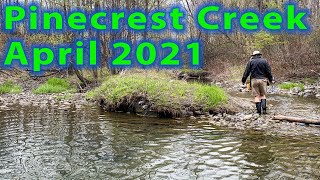 Pinecrest Creek - April 2021