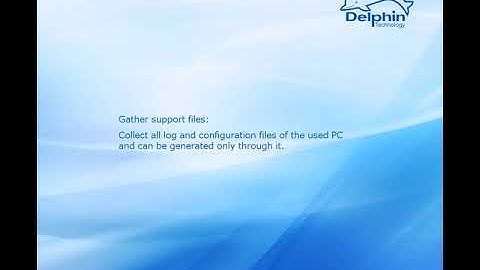 Delphin Technology Tutorial - Generate files for support