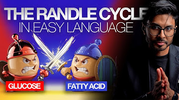 The Randle Cycle: Biochemistry Simplified & Explained In Plain English