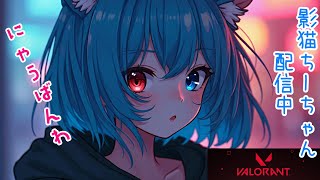 🍀影猫ちーちゃんVTuber🍀の配信のサムネイル画像