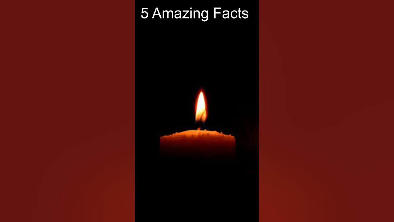 amazing-facts-why-you-sleep-after-eating-shorts-youtube