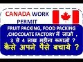 CANADA WORK PERMIT WORK IN FRUIT PACKING , FOOD PACKING, CHOCOLATE FACTORY ? IS IT POSSIBLE ?
