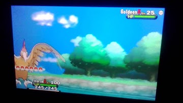 SHINY GOLDEEN AFTER 24 FISH CHAINS!